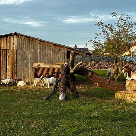 Ferienwohnung Peters Hünfeld Buitenkant foto