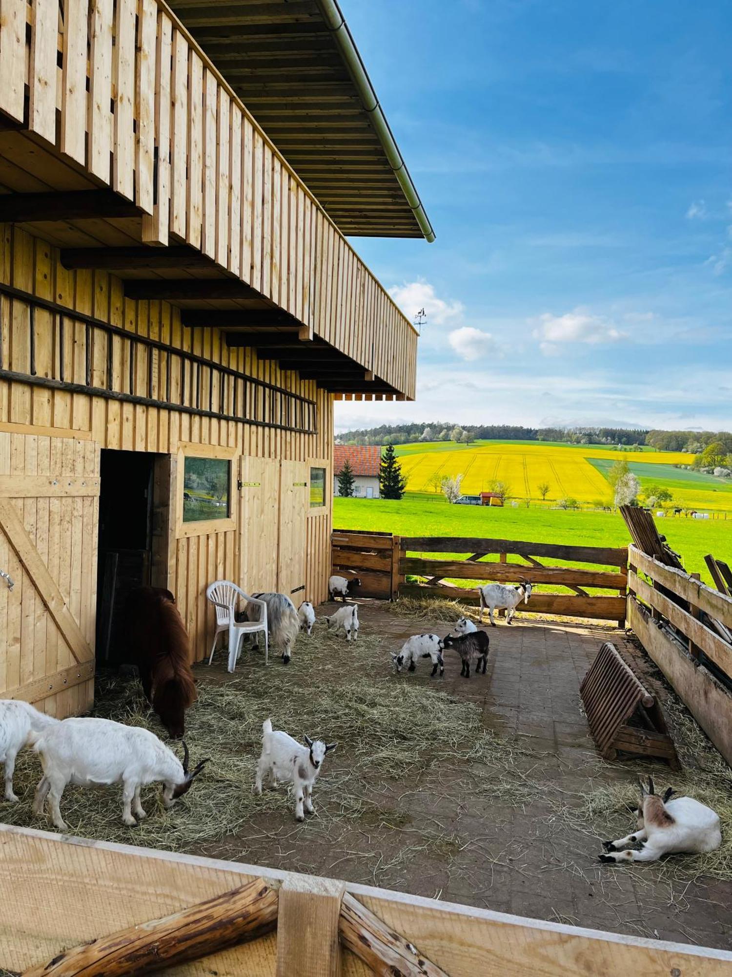 Ferienwohnung Peters Hünfeld Buitenkant foto